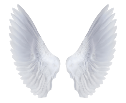 white angel wings. png