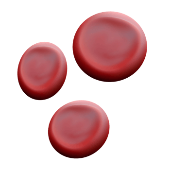 Red blood cell png