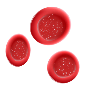 Red blood cell png
