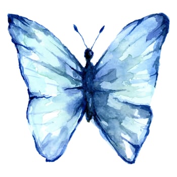 Beautiful blue watercolor butterfly on the white background. Wings look like wet watercolor art cartoon animals illustration for wallpaper. Vector