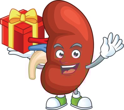 Right human kidney Cartoon character vector