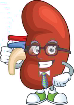 Right human kidney Cartoon character vector