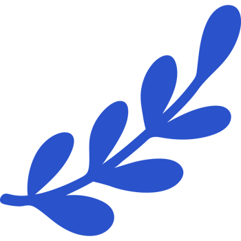 Decor. branch with leaves png