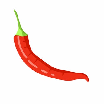 chili illustration, isolated white background. design flats. Red chili without leaves. vector