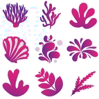 Coral ornament ocean floral gradient purple colorful vector