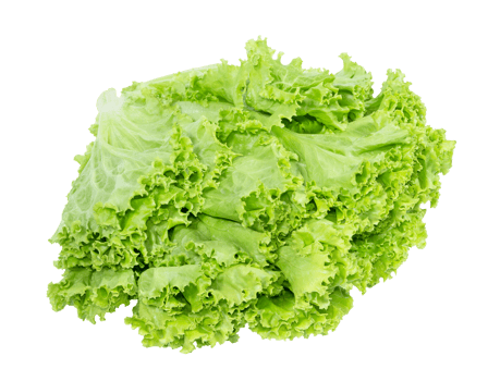 Lettuce leaf isolated png