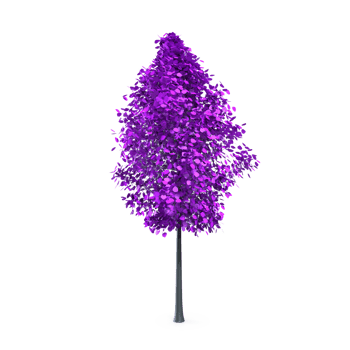 Colorful tree isolated on transparent png