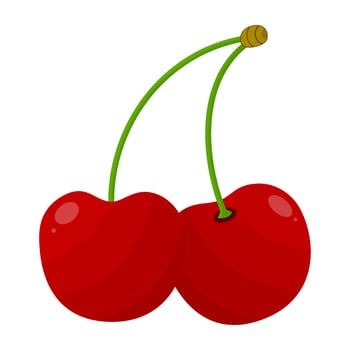Cherry Fruit Is A Fruit That Has A Sour And Sweet Taste. This Fruit Is Very Beneficial For The Health Of The Body vector