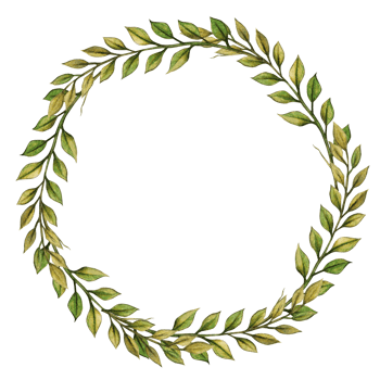 watercolor hand drawn decorative greenery element png