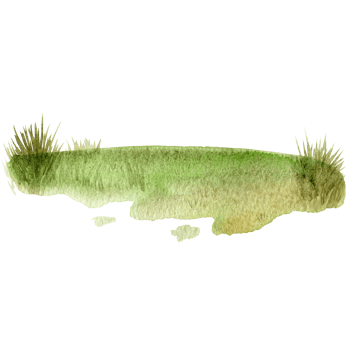 watercolor grass and soil background png