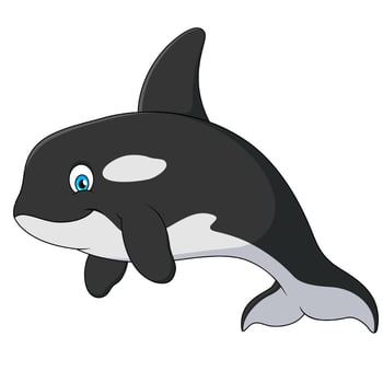 Cute orca cartoon illustration. Killer whale cute cartoon vector