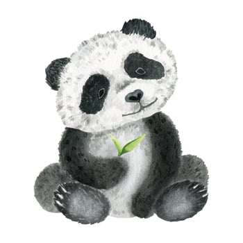 Cute sit panda. isolated on a white background. Watercolor illustration. Animal of the wild. vector