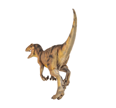 dinosaur , Velociraptor  isolated background png