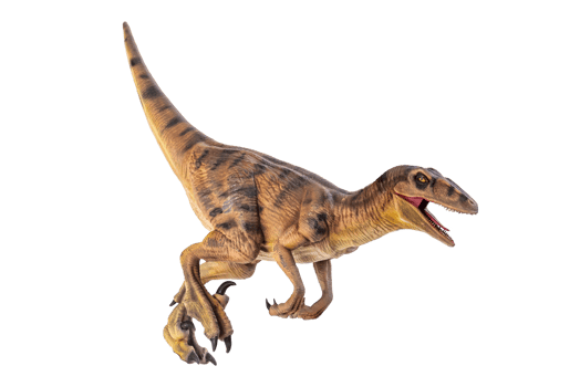dinosaur , Velociraptor  isolated background png