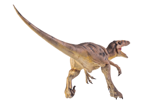 dinosaur , Velociraptor  isolated background png