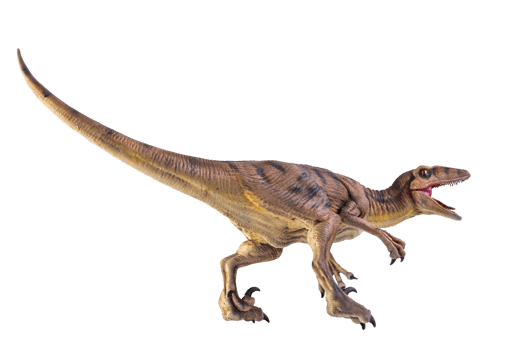 dinosaur , Velociraptor  isolated background png