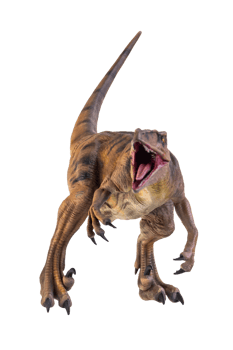 dinosaur , Velociraptor  isolated background png