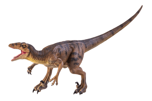 dinosaur , Velociraptor  isolated background png