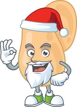 Sarcina Cartoon Character vector