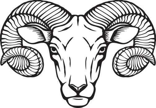 Ram Head Black White.eps vector