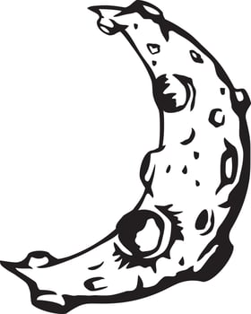 Crescent Moon Black White vector