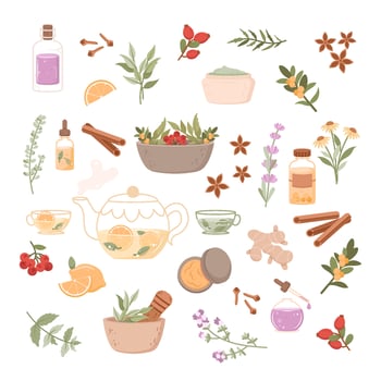 Herbal medicine illustration set. Flat icon with flower spa cartoon for medical design vector