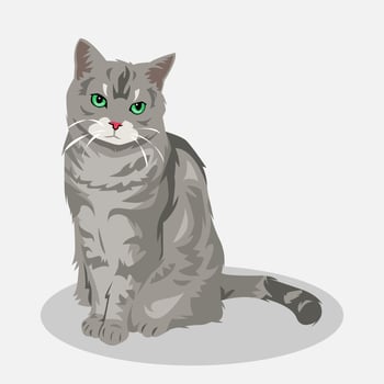 cute cat cartoon illustration. gray cat. full body. pet, animal. for print, sticker, poster, and more. vector