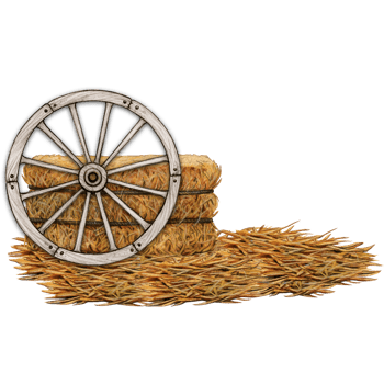 watercolor hand drawn farm compositions png