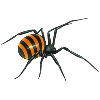 watercolor hand drawn realistic venomous spider png
