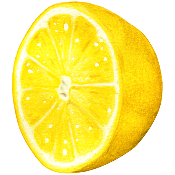 Watercolor lemon illustration isolated png