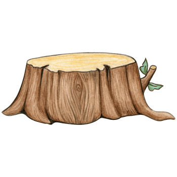 waercolor cartoon tree stump png