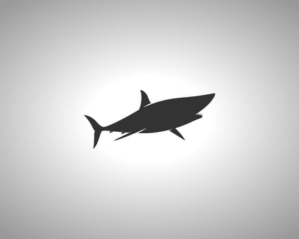 Shark Animal Silhouette vector