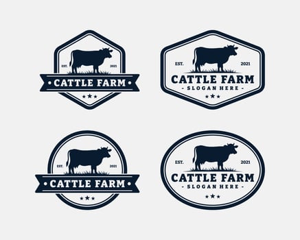 Set of cattle farm logo template design. Vintage black angus badge vector. vector