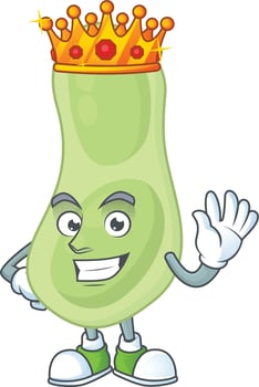 Staphylococcus pneumoniae Cartoon character vector