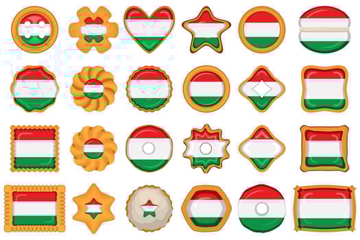 Homemade cookie with flag country Hungary in tasty biscuit vector