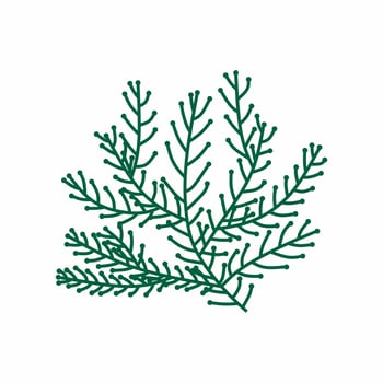 Seaweed green Vector isolated on white background.