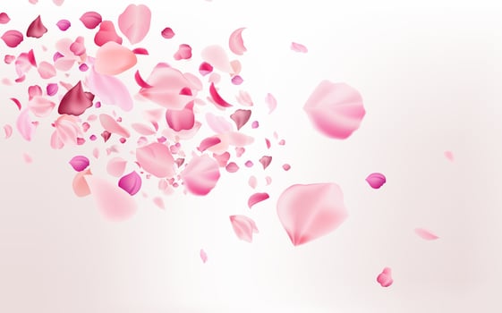 Flying fragile pink and white sakura petals. Symbol of Japanese culture. vector
