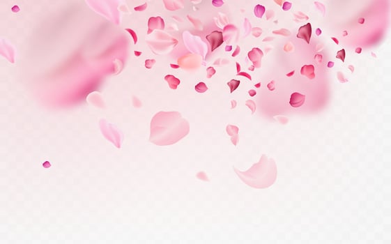 Flying fragile pink and white sakura petals. Symbol of Japanese culture. vector