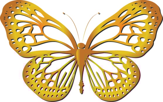 Digital drawing of a butterfly with golden wings vector