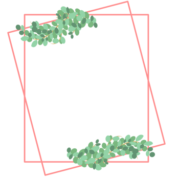 Aesthetic pink frame png