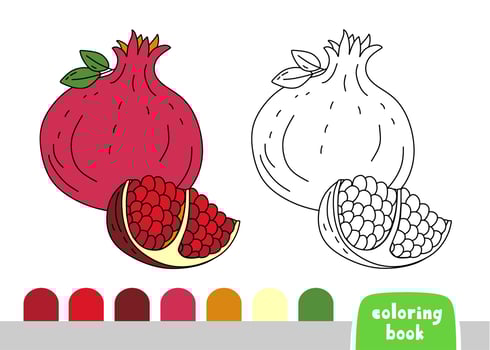 Coloring book for Kids Pomegranate Page for books Magazines Coloring Vector Illustration
