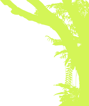 Tree in the Forest or Jungle Silhouette for Art Illustration, Background, or Graphic Design Element. Format PNG