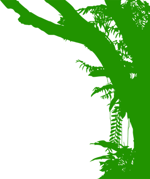 Tree in the Forest or Jungle Silhouette for Art Illustration, Background, or Graphic Design Element. Format PNG