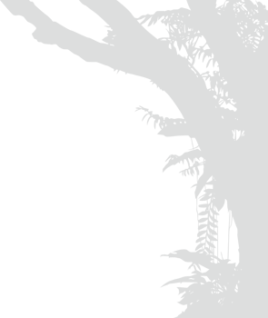 Tree in the Forest or Jungle Silhouette for Art Illustration, Background, or Graphic Design Element. Format PNG