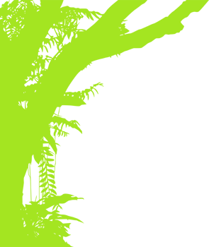 Tree in the Forest or Jungle Silhouette for Art Illustration, Background, or Graphic Design Element. Format PNG