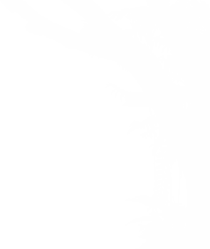 Tree in the Forest or Jungle Silhouette for Art Illustration, Background, or Graphic Design Element. Format PNG