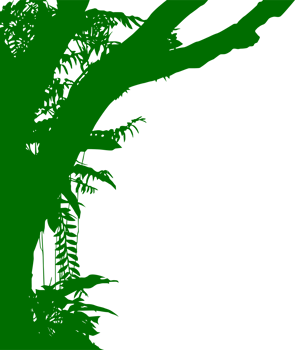 Tree in the Forest or Jungle Silhouette for Art Illustration, Background, or Graphic Design Element. Format PNG