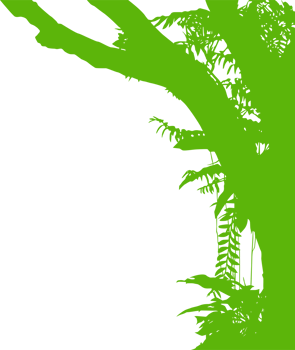 Tree in the Forest or Jungle Silhouette for Art Illustration, Background, or Graphic Design Element. Format PNG