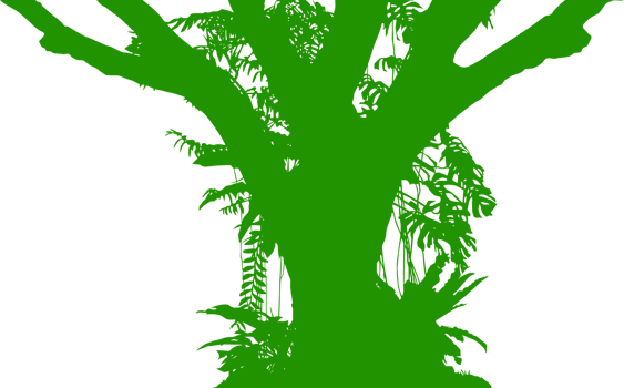 Tree in the Forest or Jungle Silhouette for Art Illustration, Background, or Graphic Design Element. Format PNG
