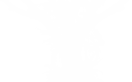Tree in the Forest or Jungle Silhouette for Art Illustration, Background, or Graphic Design Element. Format PNG